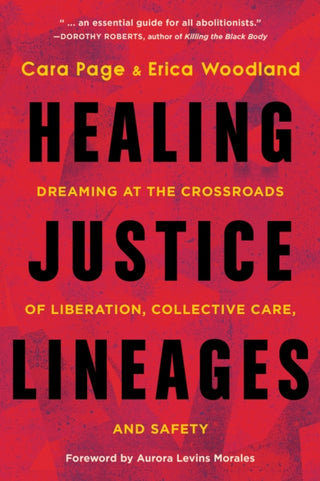 Cover image for 9781623177140 - Healing Justice Lineages