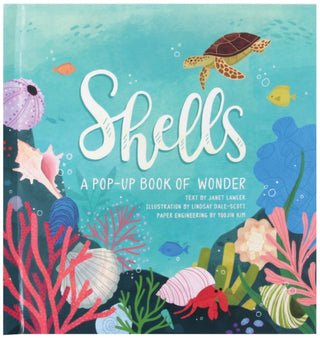Cover image for 9781623485269 - Shells