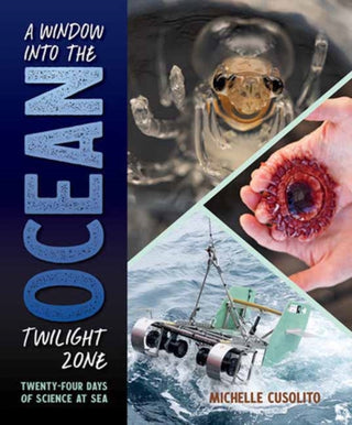 Cover image for 9781623543020 - A Window into the Ocean Twilight Zone