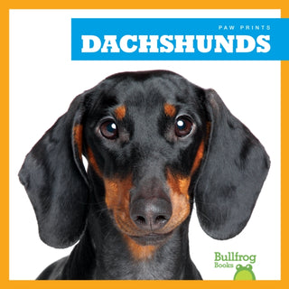 Supplemental image for 9781624967689 - Dachshunds