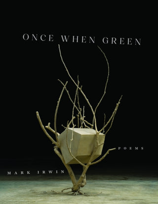 Cover image for 9781625348654 - Once When Green