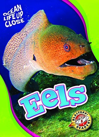 Cover image for 9781626177659 - Eels