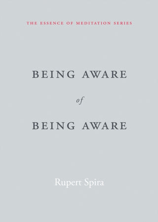 Cover image for 9781626259966 - Being Aware of Being Aware
