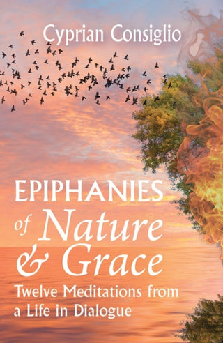Cover image for 9781626986237 - Epiphanies of Nature and Grace: Twelve Meditations from a Life in Dialogue