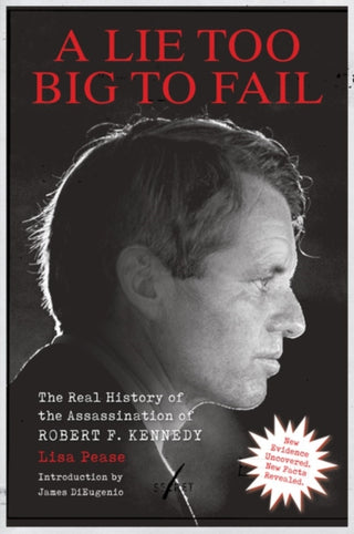 Cover image for 9781627311632 - A Lie Too Big to Fail