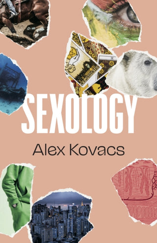 Cover image for 9781628975024 - Sexology