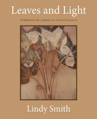 Cover image for 9781632261533 - Leaves and Light
