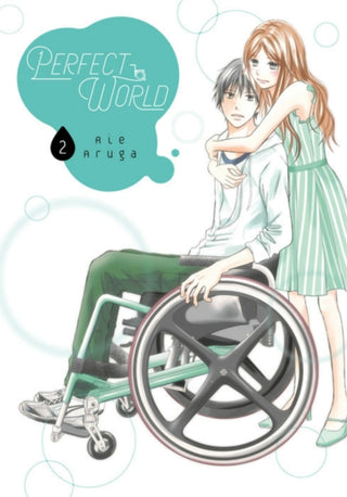Cover image for 9781632369949 - Perfect World 2