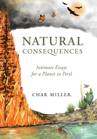 Cover image for 9781634050371 - Natural Consequences