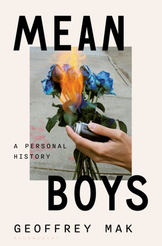 Cover image for 9781635577945 - Mean Boys