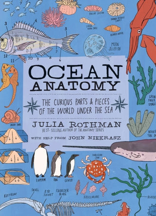 Cover image for 9781635861600 - Ocean Anatomy