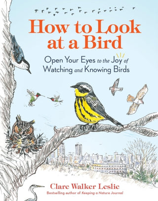 Supplemental image for 9781635866490 - How to Look at a Bird