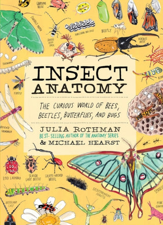 Cover image for 9781635868784 - Insect Anatomy
