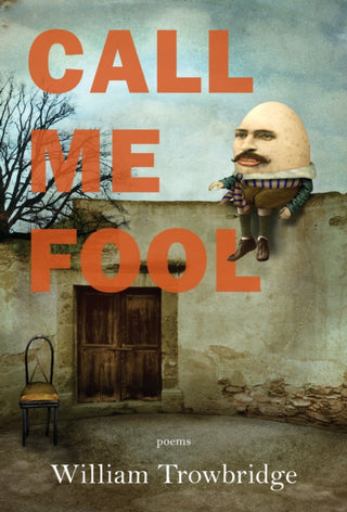Cover image for 9781636280462 - Call Me Fool
