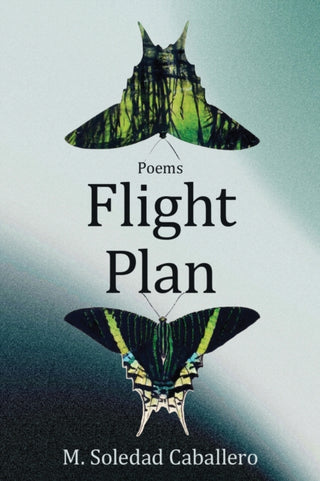 Cover image for 9781636282527 - Flight Plan