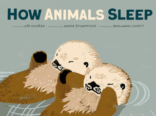 Cover image for 9781636550978 - How Animals Sleep