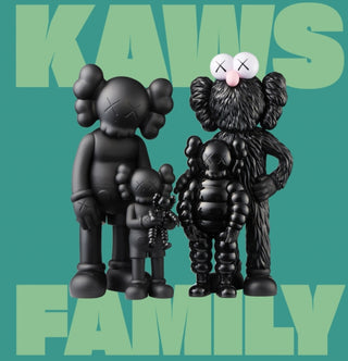 Cover image for 9781636811093 - KAWS: FAMILY