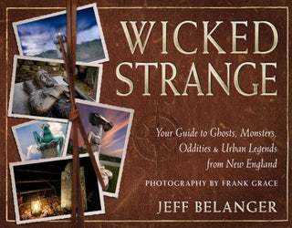 Cover image for 9781637480212 - Wicked Strange