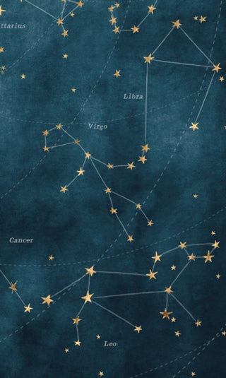 Supplemental image for 9781638191094 - Constellated Journal