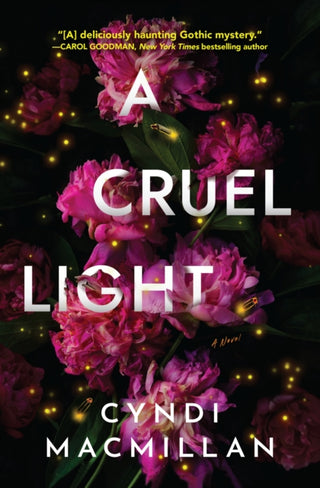 Cover image for 9781639103256 - A Cruel Light