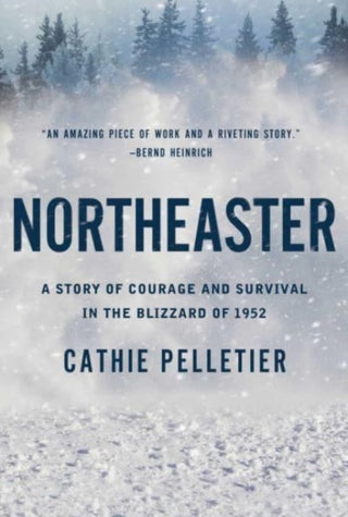 Supplemental image for 9781639365807 - Northeaster