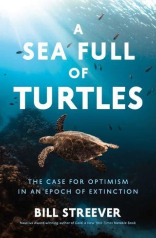 Cover image for 9781639366699 - A Sea Full of Turtles