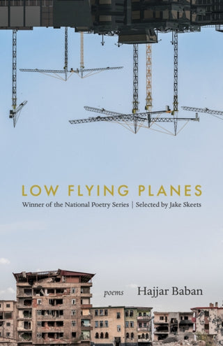 Cover image for 9781639551316 - LOW FLYING PLANES