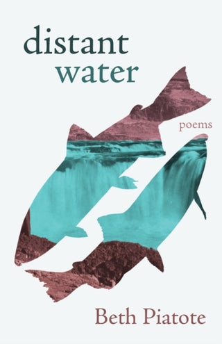 Cover image for 9781639551682 - distant water