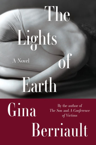 Cover image for 9781640095229 - The Lights of Earth