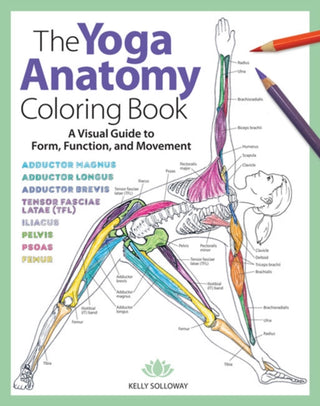 Supplemental image for 9781640210219 - Yoga Anatomy Coloring Book, The