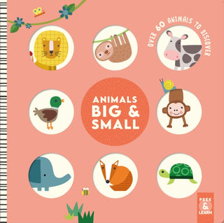 Cover image for 9781641243933 - Animals Big & Small