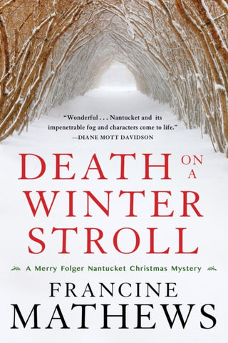 Cover image for 9781641295253 - Death On A Winter Stroll