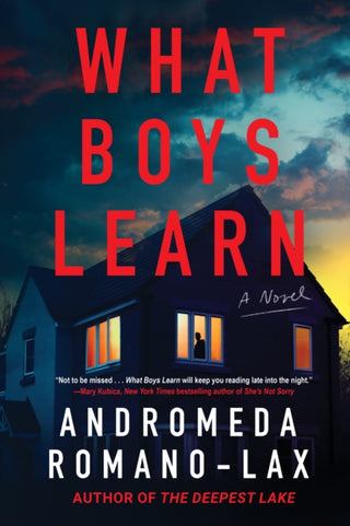 Cover image for 9781641296915 - What Boys Learn