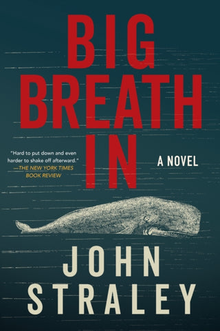 Cover image for 9781641297394 - Big Breath In