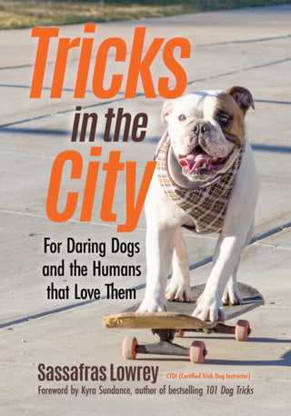 Supplemental image for 9781642500394 - Tricks in the City