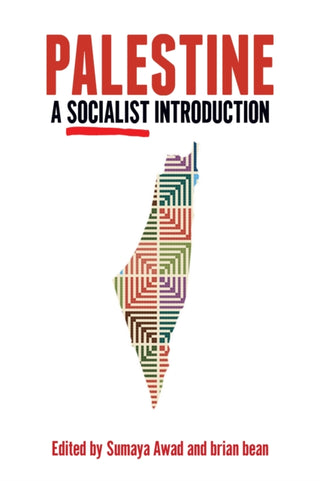 Cover image for 9781642592764 - Palestine: A Socialist Introduction