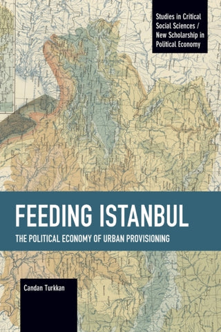 Cover image for 9781642597721 - Feeding Istanbul