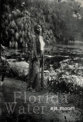Cover image for 9781642599671 - Florida Water