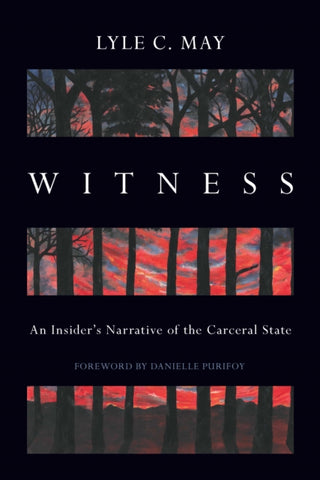 Cover image for 9781642599718 - Witness