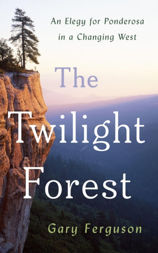 Cover image for 9781642833423 - The Twilight Forest