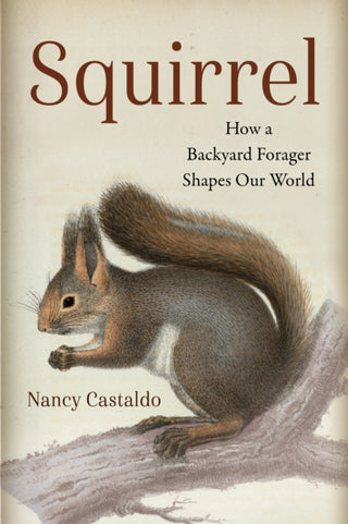 Cover image for 9781642833751 - Squirrel