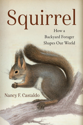 Cover image for 9781642833751 - Squirrel