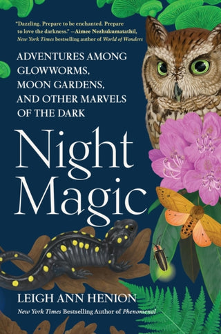 Cover image for 9781643753362 - Night Magic