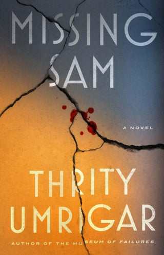 Cover image for 9781643757629 - Missing Sam