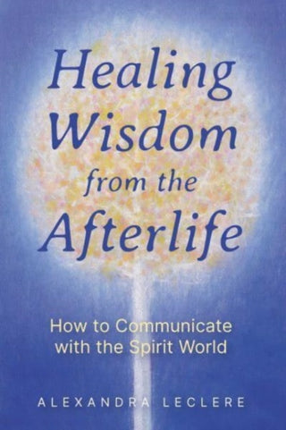 Cover image for 9781644118900 - Healing Wisdom from the Afterlife