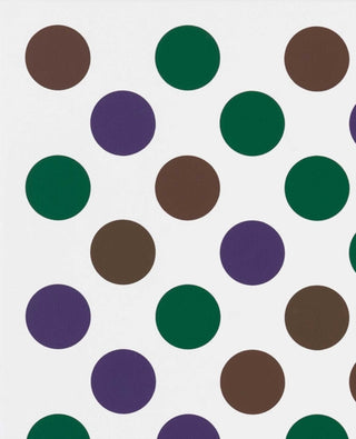 Cover image for 9781644230664 - Bridget Riley: Past into Present
