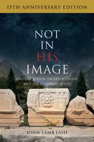 Cover image for 9781645021360 - Not in His Image (15th Anniversary Edition)