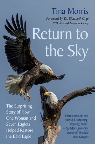 Cover image for 9781645022633 - Return to the Sky