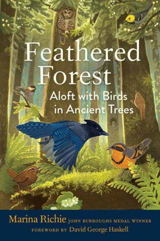 Cover image for 9781645022954 - Feathered Forest