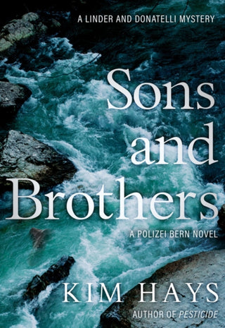 Cover image for 9781645060581 - Sons & Brothers